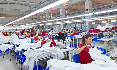 JNS%20Knitwear%20Ltd